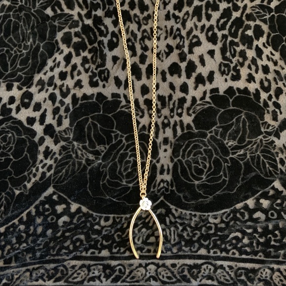 Betsey Johnson lucky wishbone necklace - Picture 3 of 5